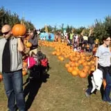 Apple Ridge Orchards photo