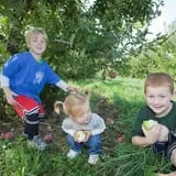 Apple Ridge Orchards photo