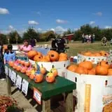 Apple Ridge Orchards photo