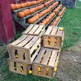 Apple Ridge Orchards photo
