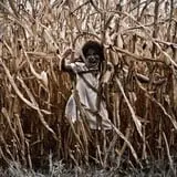 Union Gap Corn Maze and Pumpkin Patch photo