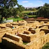Union Gap Corn Maze and Pumpkin Patch photo