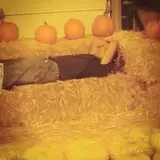 Union Gap Corn Maze and Pumpkin Patch photo