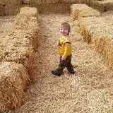 Union Gap Corn Maze and Pumpkin Patch photo