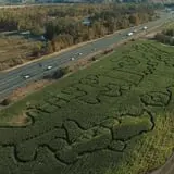 Union Gap Corn Maze and Pumpkin Patch photo