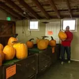 Union Gap Corn Maze and Pumpkin Patch photo