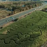 Union Gap Corn Maze and Pumpkin Patch photo