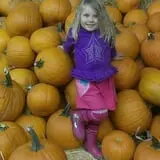 Union Gap Corn Maze and Pumpkin Patch photo