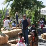 Union Gap Corn Maze and Pumpkin Patch photo