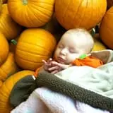 Union Gap Corn Maze and Pumpkin Patch photo