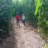 Union Gap Corn Maze and Pumpkin Patch photo