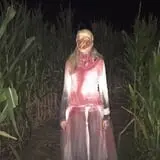 Union Gap Corn Maze and Pumpkin Patch photo