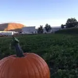 Union Gap Corn Maze and Pumpkin Patch photo