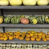 Union Gap Corn Maze and Pumpkin Patch photo