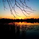 Photo by Lori Erickson, via Flickr, https://www.flickr.com/photos/lorika/4981769872/