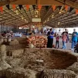 Exeter Haunted Barn & Corn Maze photo