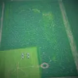 Maze Craze Corn Maze photo