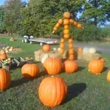 McCracken Farms photo