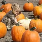McCracken Farms photo