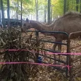 McCracken Farms photo