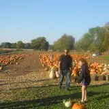 McCracken Farms photo