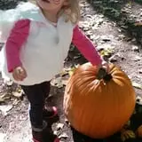 McCracken Farms photo