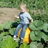 McCracken Farms photo
