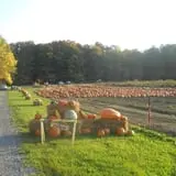 McCracken Farms photo