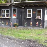 McCracken Farms photo