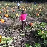 McCracken Farms photo