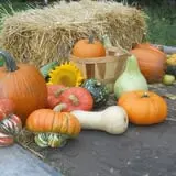 McCracken Farms photo