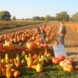McCracken Farms photo