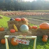 McCracken Farms photo