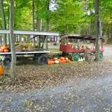McCracken Farms photo