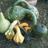 McCracken Farms photo