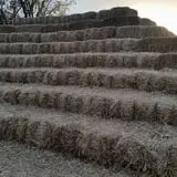 Gallrein Farms photo