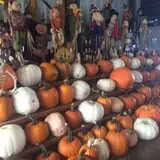 Gallrein Farms photo