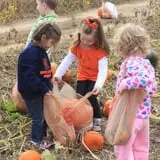 Gallrein Farms photo
