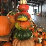 Gallrein Farms photo