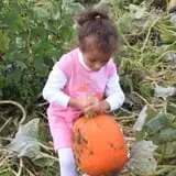 Gallrein Farms photo