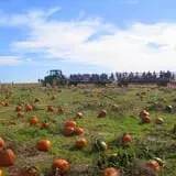 Gallrein Farms photo