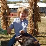 Gallrein Farms photo