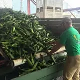 Gallrein Farms photo