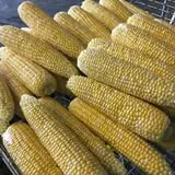 Gallrein Farms photo