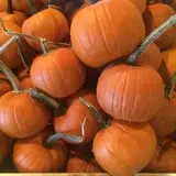 Gallrein Farms photo