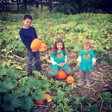 Gallrein Farms photo