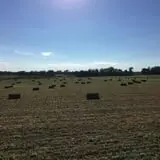 Gallrein Farms photo