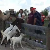Gallrein Farms photo