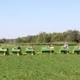 Gallrein Farms photo