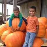 Gallrein Farms photo
